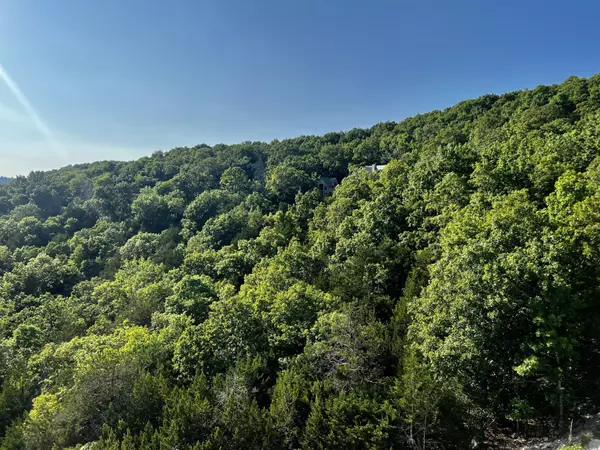 Galena, MO 65656,Lot 76 Jackson Hollow RD