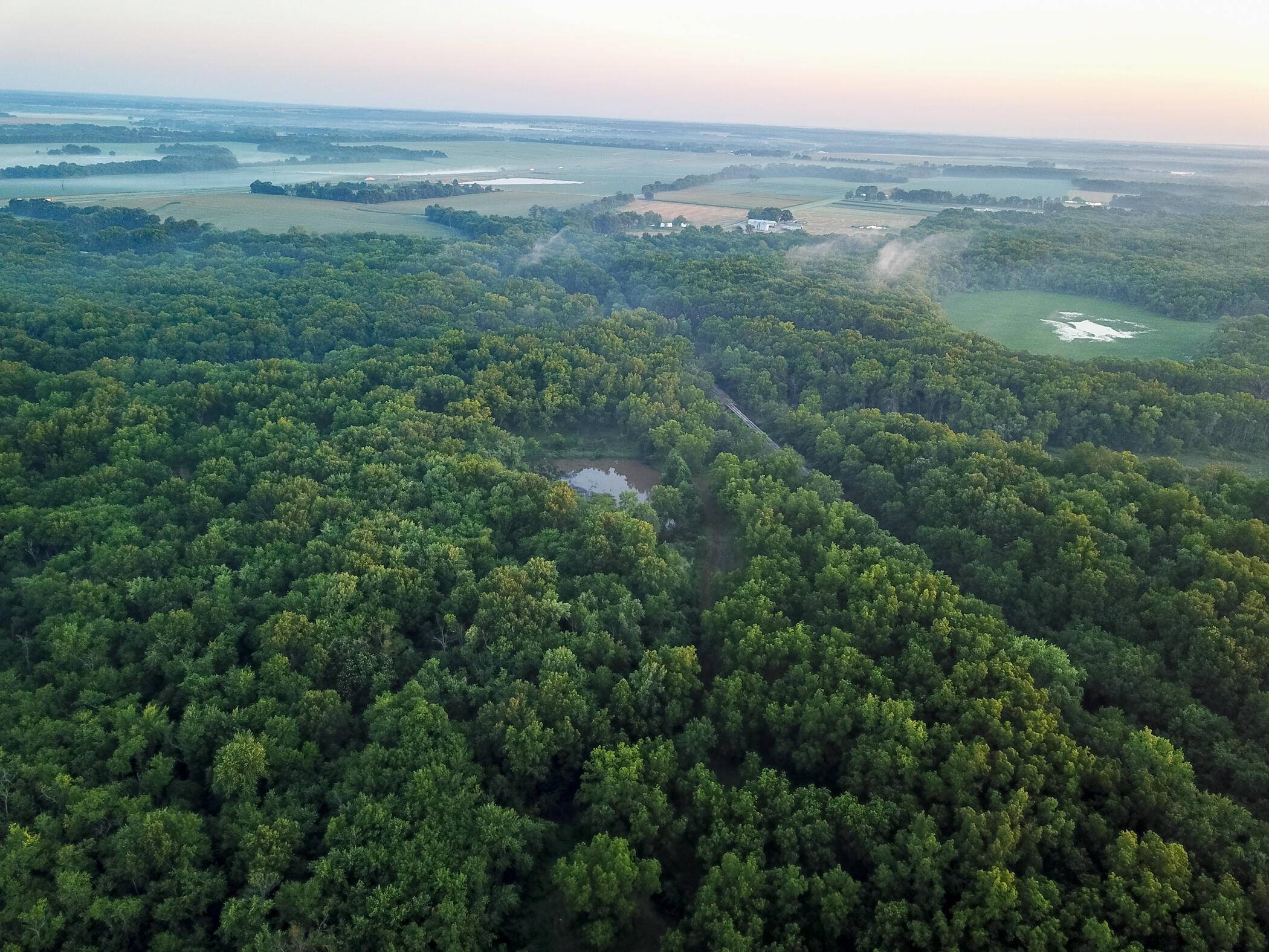 Nevada, MO 64772,000 E Halley RD