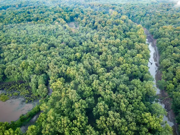 Nevada, MO 64772,000 E Halley RD