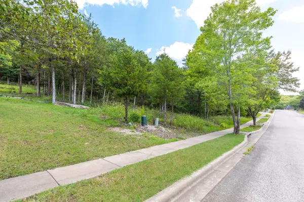 Branson, MO 65616,0 Summerwood DR