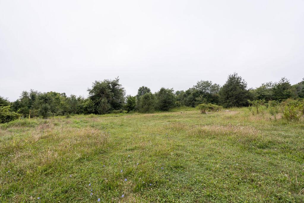 Kirbyville, MO 65679,000 Blackburn Road