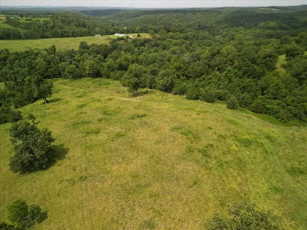 Dora, MO 65637,000 County Road 184