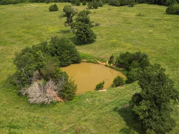 Dora, MO 65637,000 County Road 184