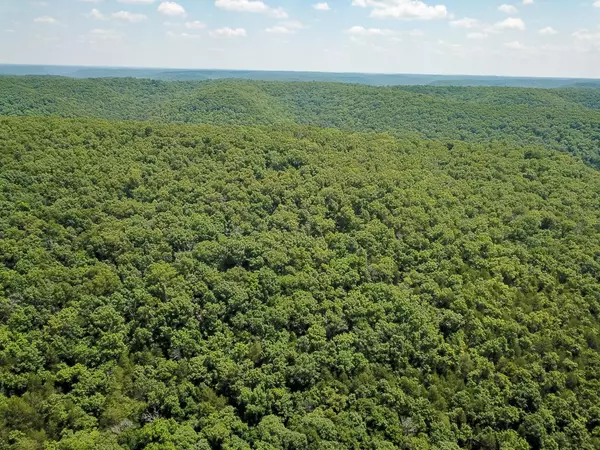 Ozark, MO 65721,000 Wood Thrush LN