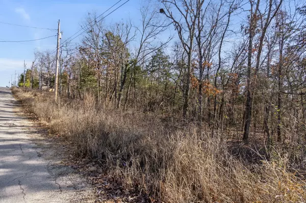 Merriam Woods, MO 65740,Lot 39 Driftwood RD