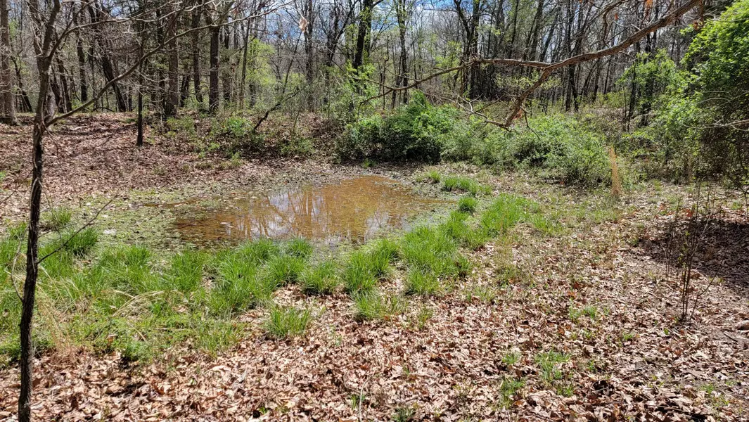 80 +/- Ac Raven RD, Granby, MO 64844