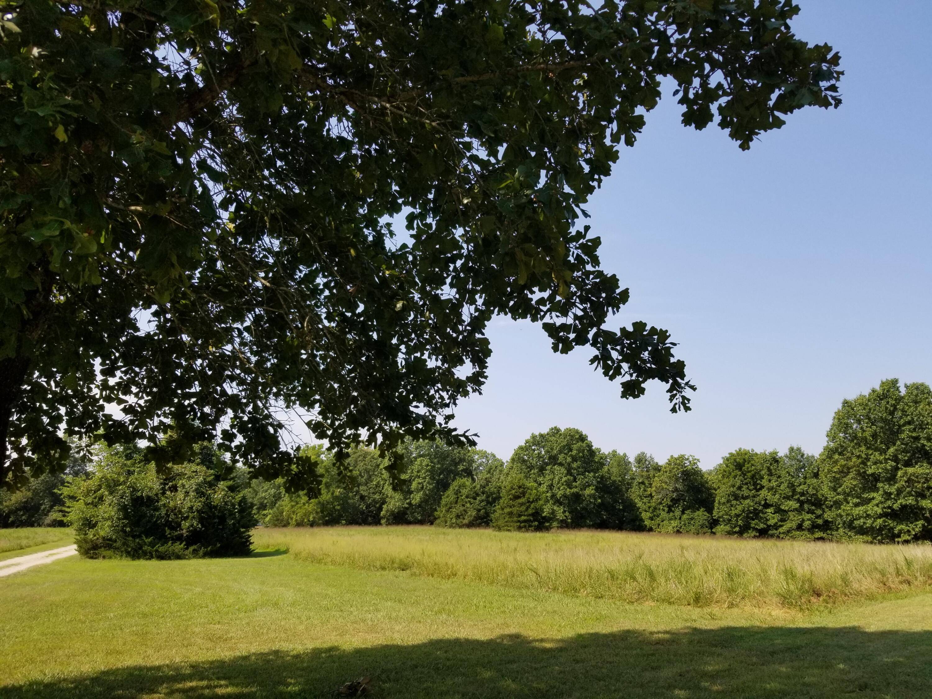 Pontiac, MO 65729,000 Whitetail Lane