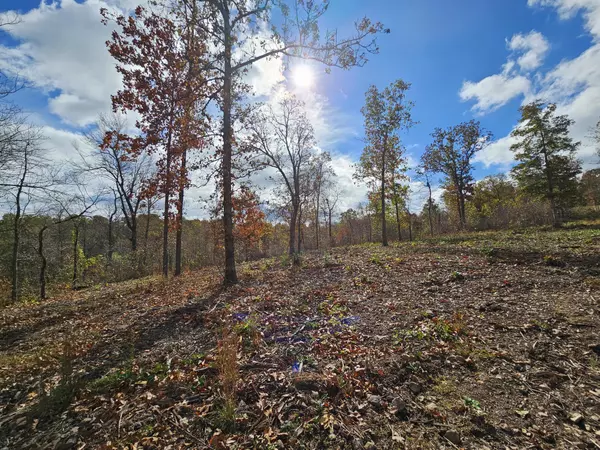 Anderson, MO 64831,Tract 3a Creekwood LN