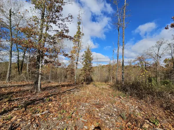 Anderson, MO 64831,Tract 3a Creekwood LN