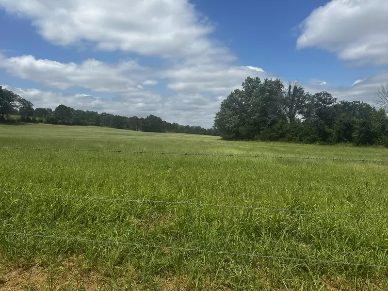 Tbd County Road 7270, West Plains, MO 65775
