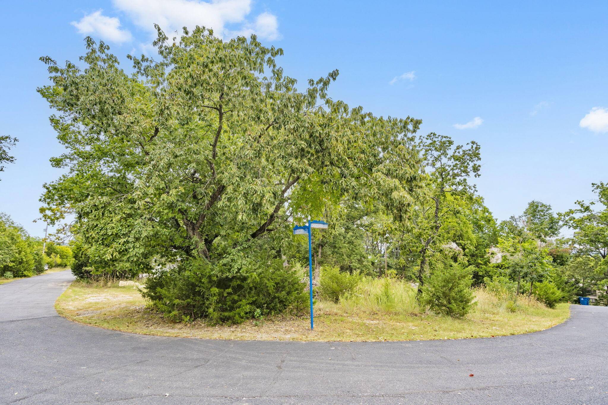 Indian Point, MO 65616,Lot 47 Dogwood Valley EST