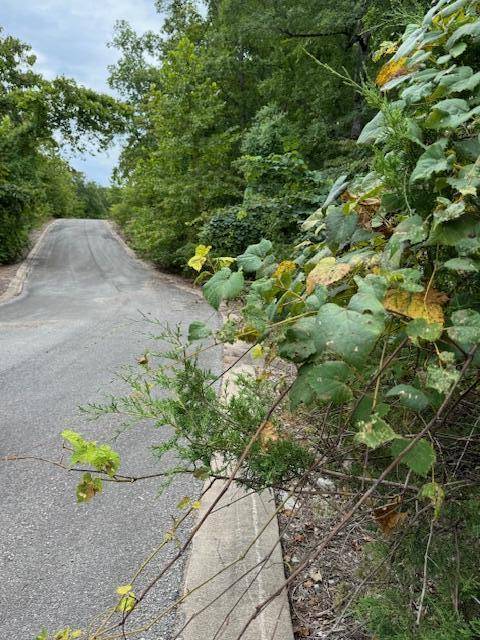 Hollister, MO 65672,Lot 17 Skylee DR