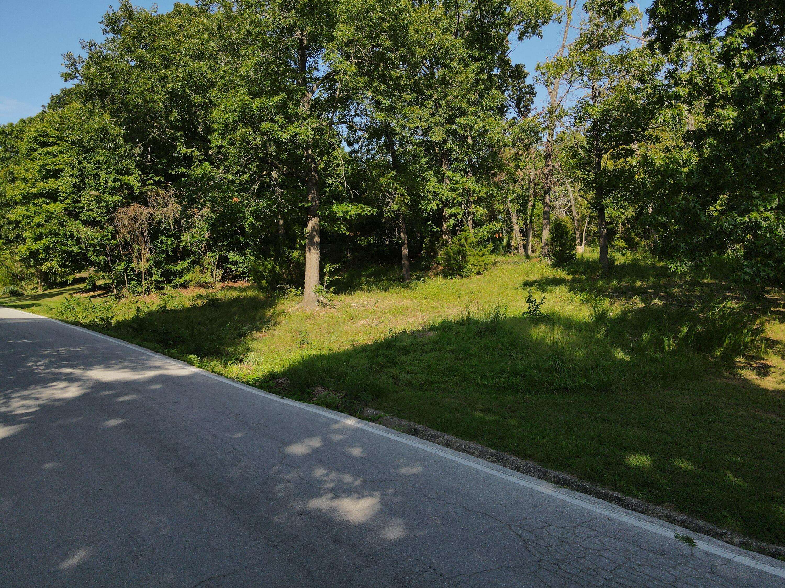 Lampe, MO 65681,000 Mill Creek Shores LN