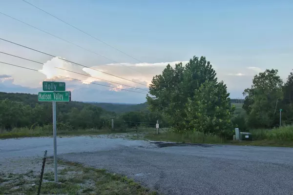 Kirbyville, MO 65679,Tbd Holly Way