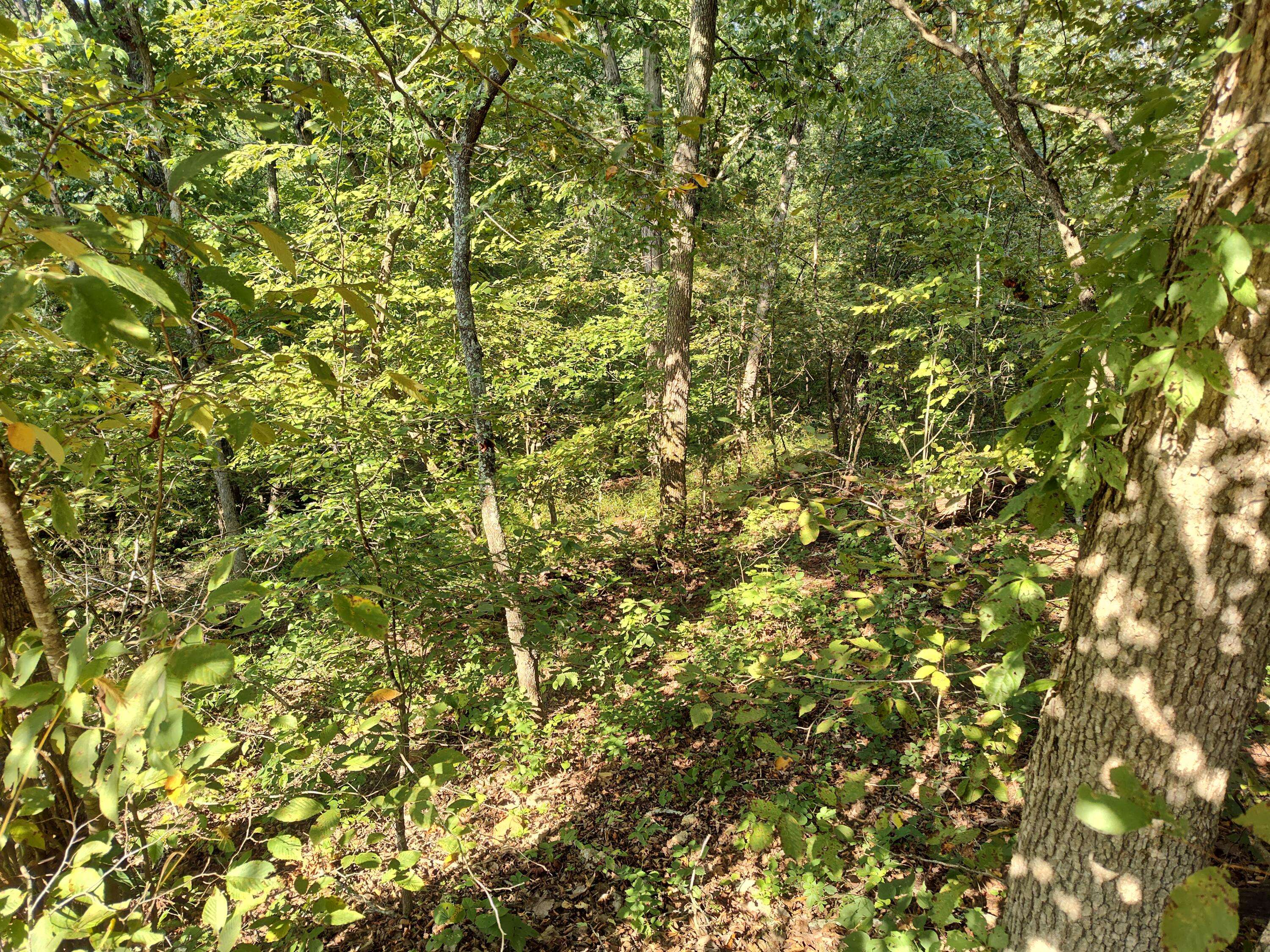 Urbana, MO 65767,000 County Road 405c