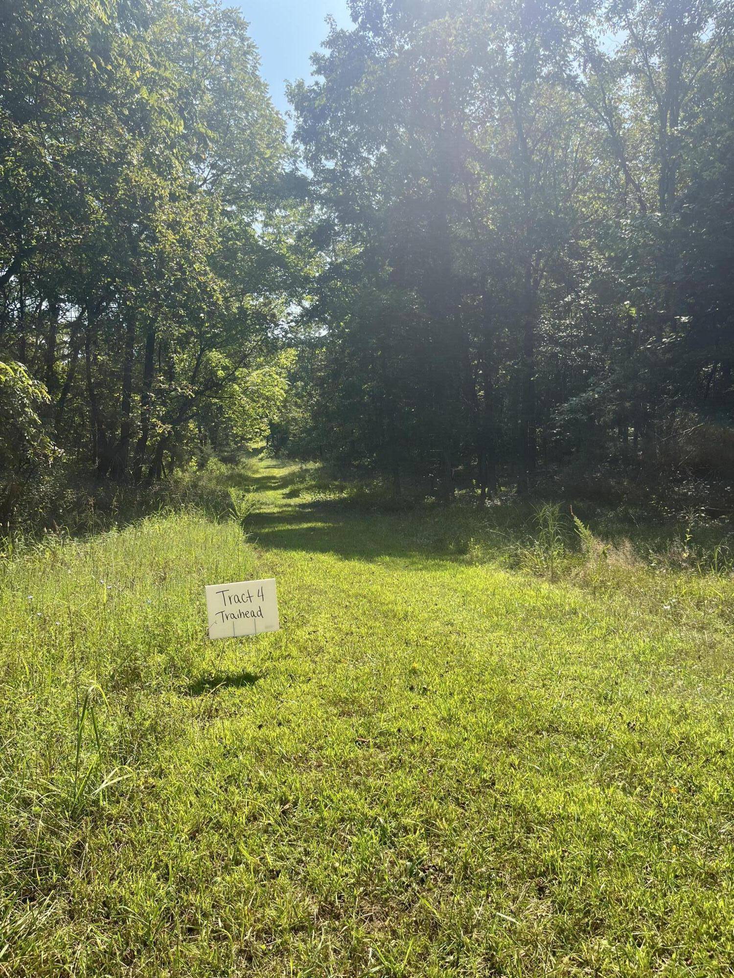 Squires, MO 65755,Tract 4 Route 4