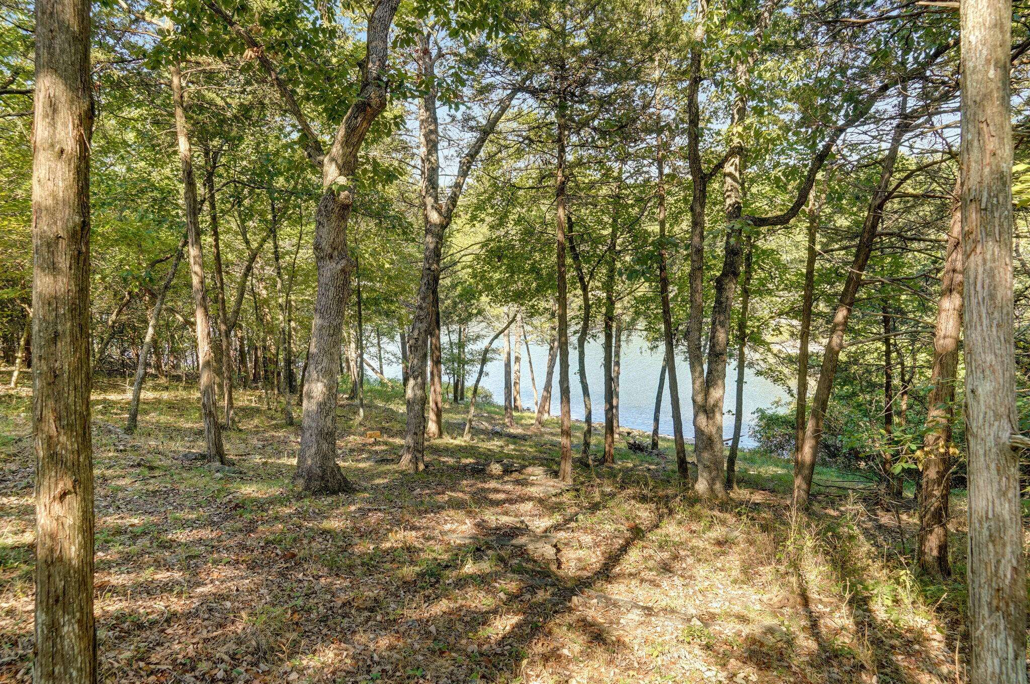 Kimberling City, MO 65686,253 Summer RD