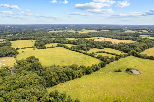 Sparta, MO 65753,433 Morriset RD