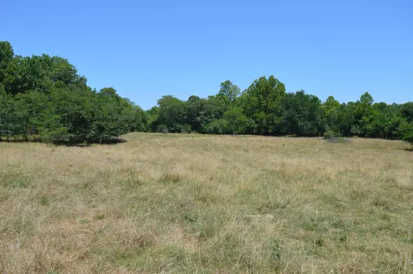 Willard, MO 65781,9119 W Farm Rd 76