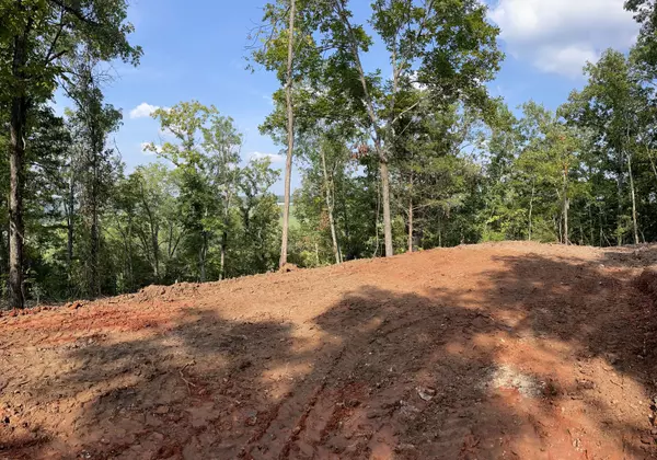 Galena, MO 65656,000 Camp Clark Hill RD