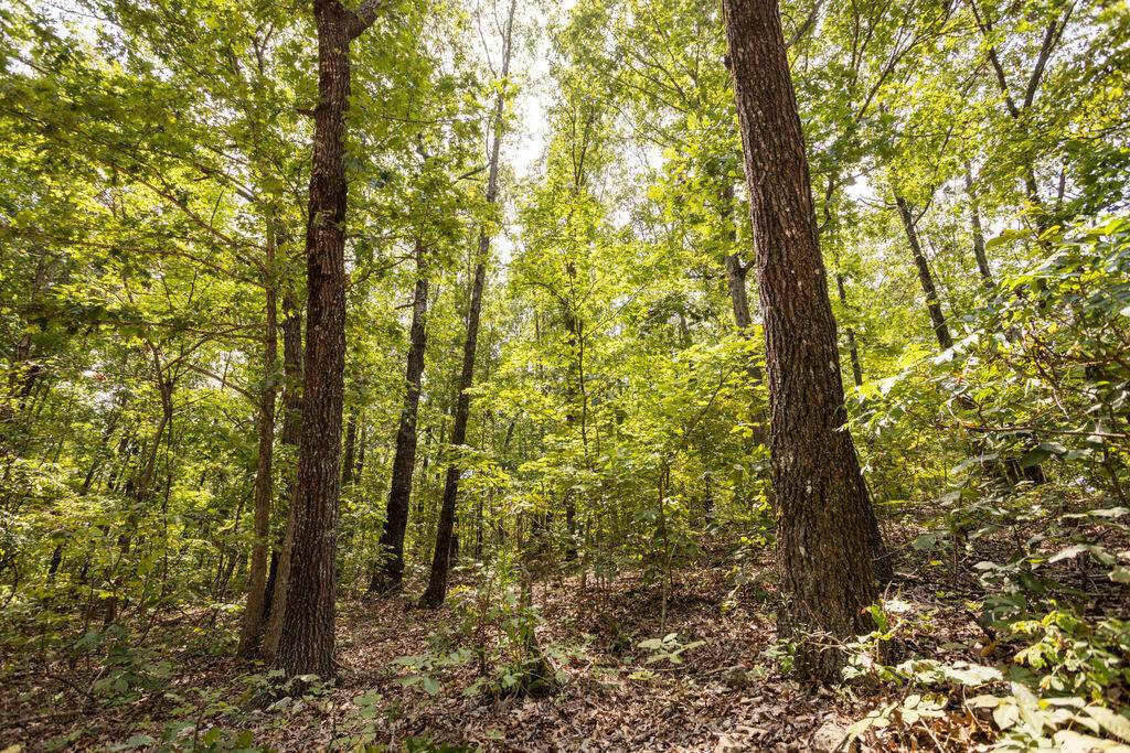000 County Road 9065a, Powell, MO 65730