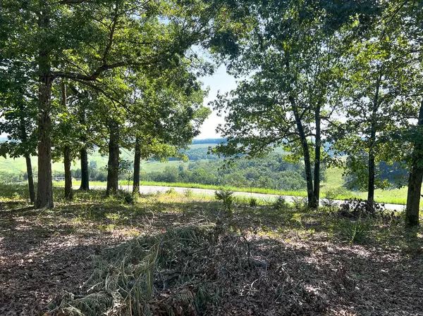 Isabella, MO 65676,16 Piche DR