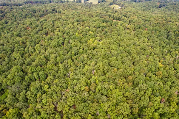 Birch Tree, MO 65438,0000 County Road Z-464