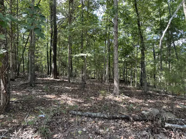 Rockaway Beach, MO 65740,Lot 50 Wildwood LN