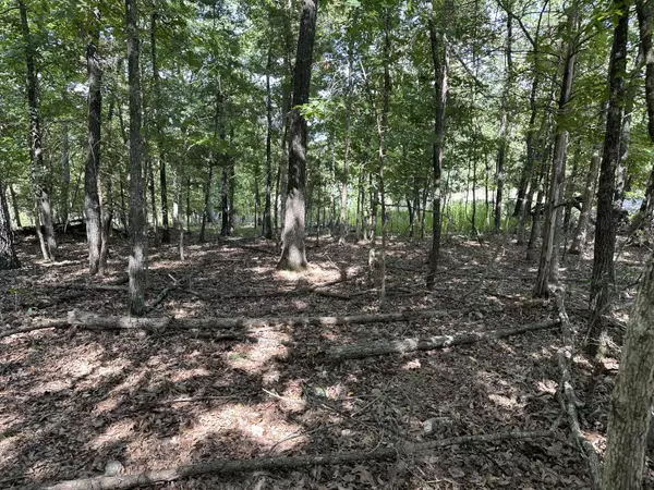 Rockaway Beach, MO 65740,Lot 50 Wildwood LN