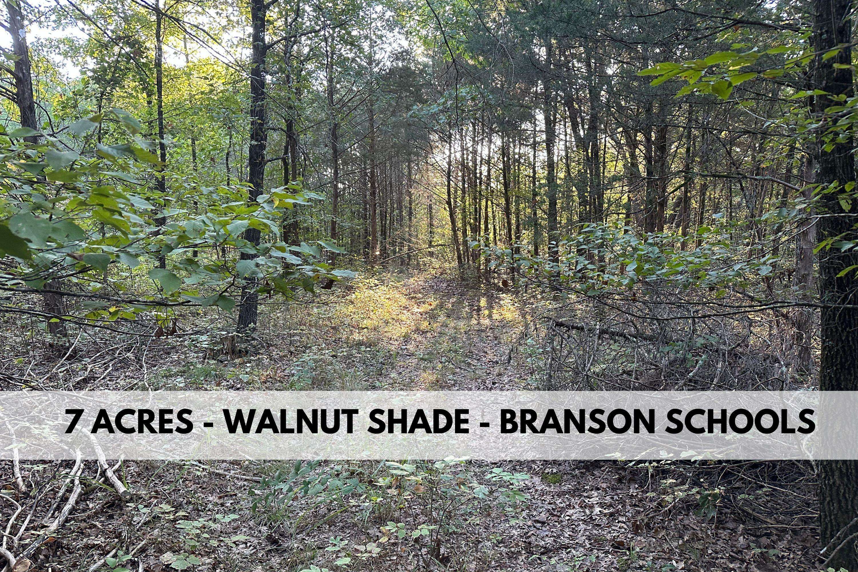 Lot 2 Round Mountain RD, Walnut Shade, MO 65771