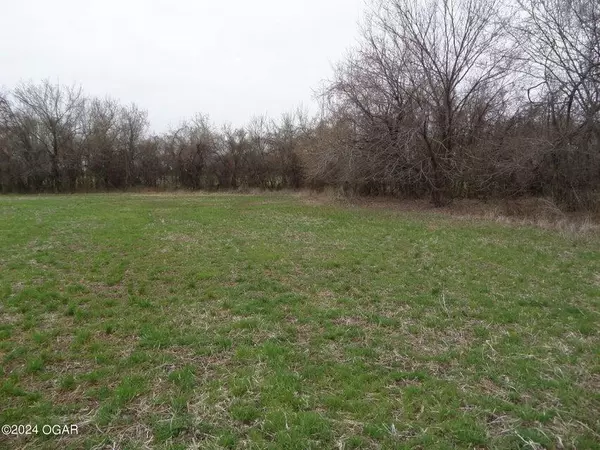 Carl Junction, MO 64834,Lot 4 Highway 96