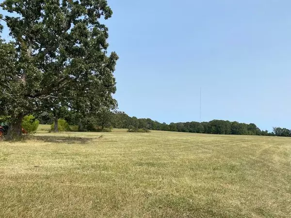 Fordland, MO 65652,001 Panther Creek RD