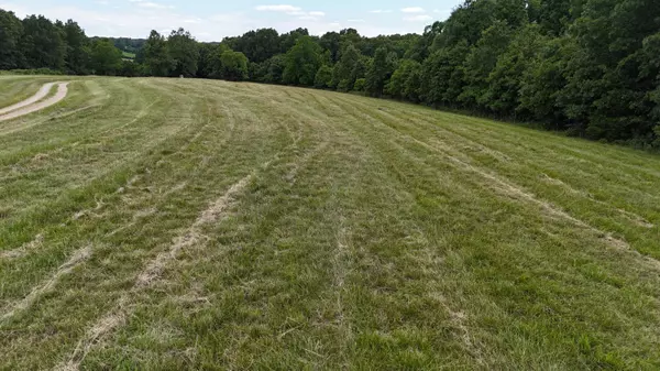 Fordland, MO 65652,Tract 1 Green Hill RD