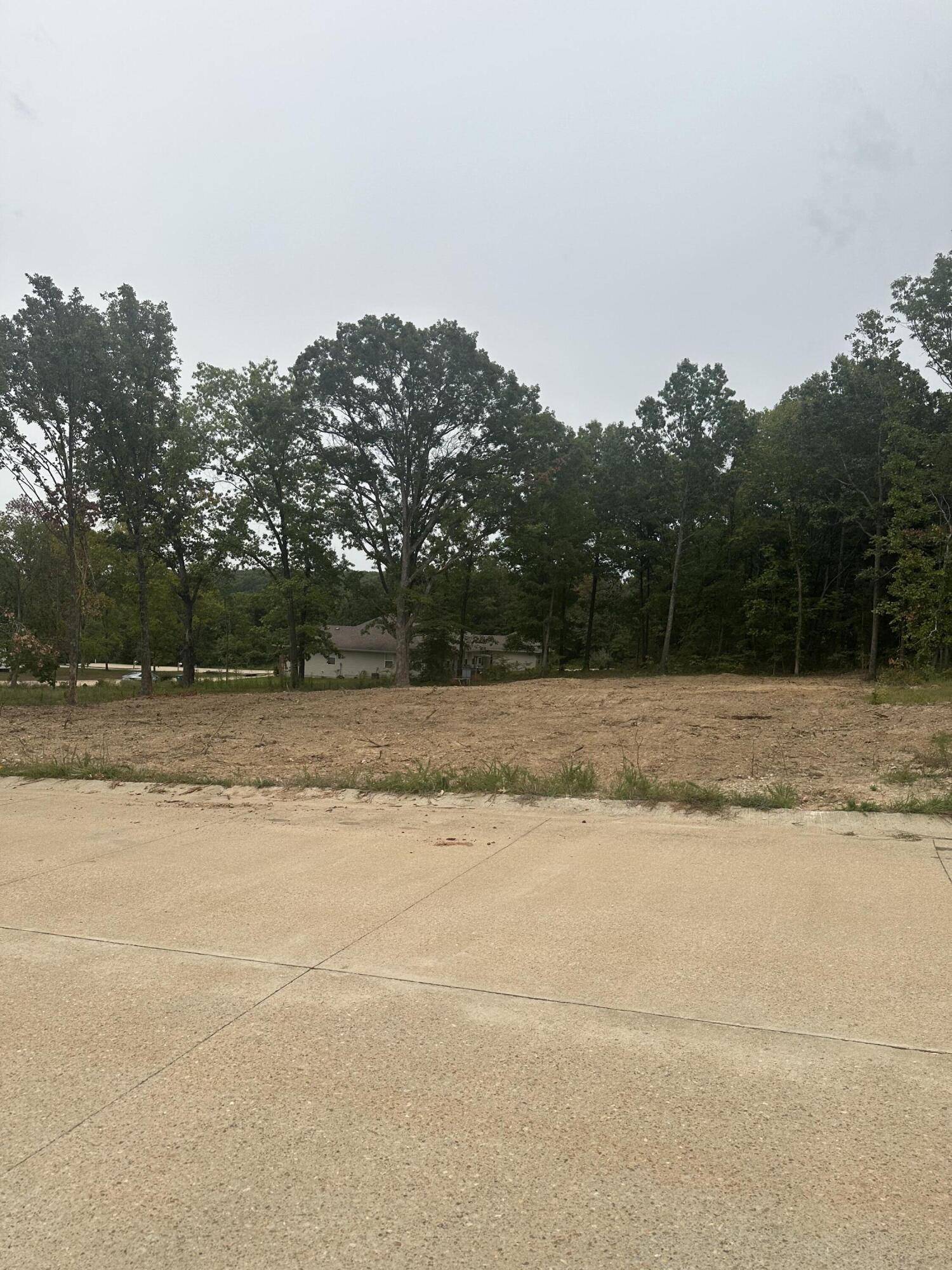 Cabool, MO 65689,203 Juniper St