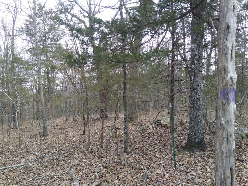 Lot 1 Copperhead RD, Cedarcreek, MO 65627