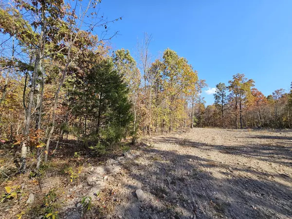 Tract 4 Coble LN, Anderson, MO 64831