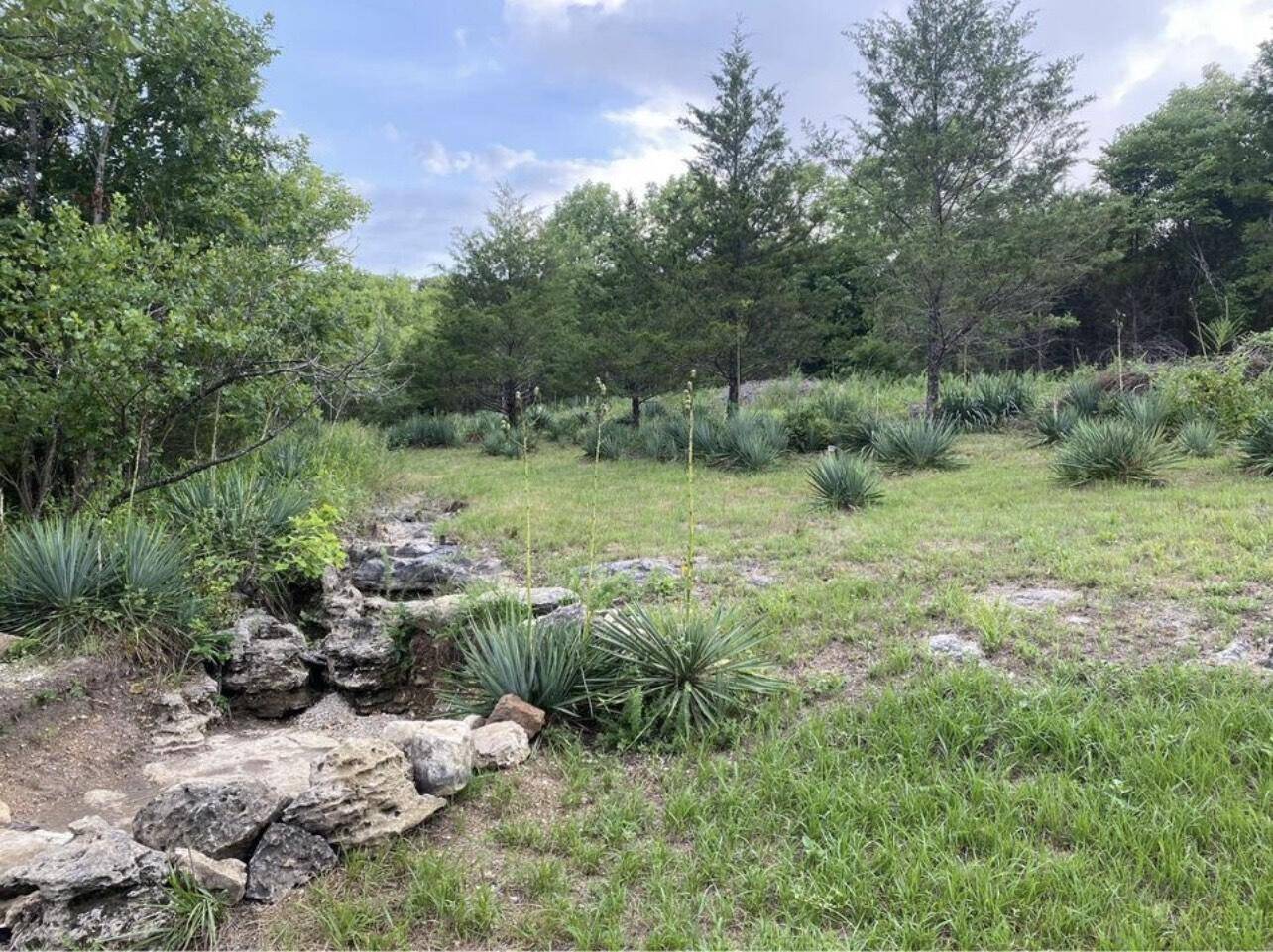 2248 Flynn Rd, Branson, MO 65616