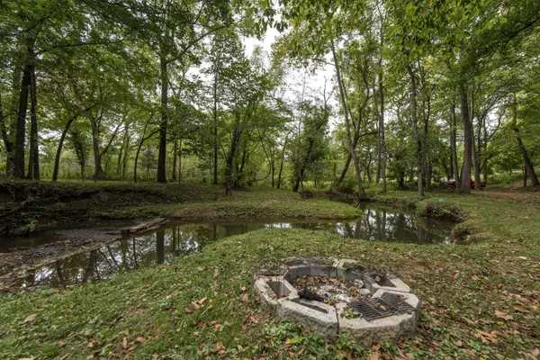 Crane, MO 65633,1488 Boston Mountain RD