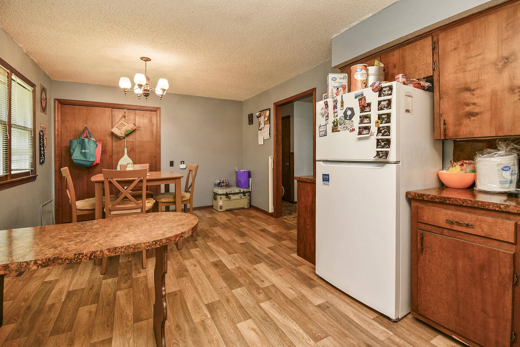 Greenfield, MO 65661,217 Lilly ST