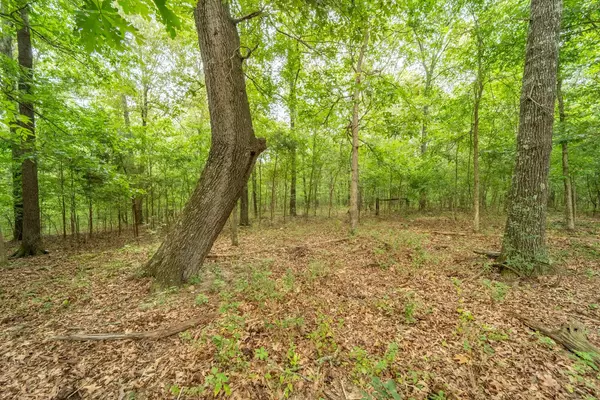 Hardy, AR 72542,000 Banks Road