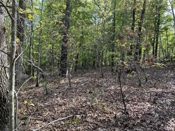 Mammoth Spring, AR 72554,000 Moonlight Road #120 Acres