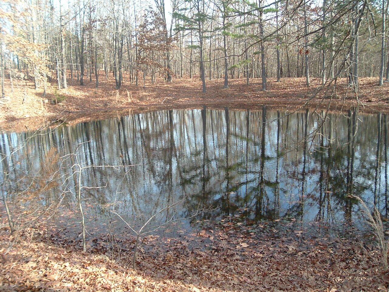 West Plains, MO 65775,000 Co Rd 3810