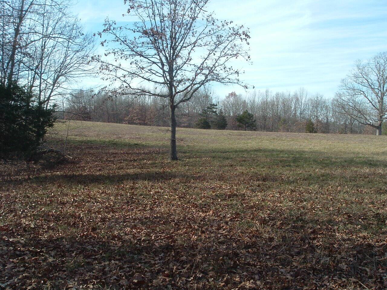 West Plains, MO 65775,000 Co Rd 3810