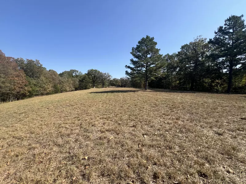 000 Deer Trail DR, Pineville, MO 64856