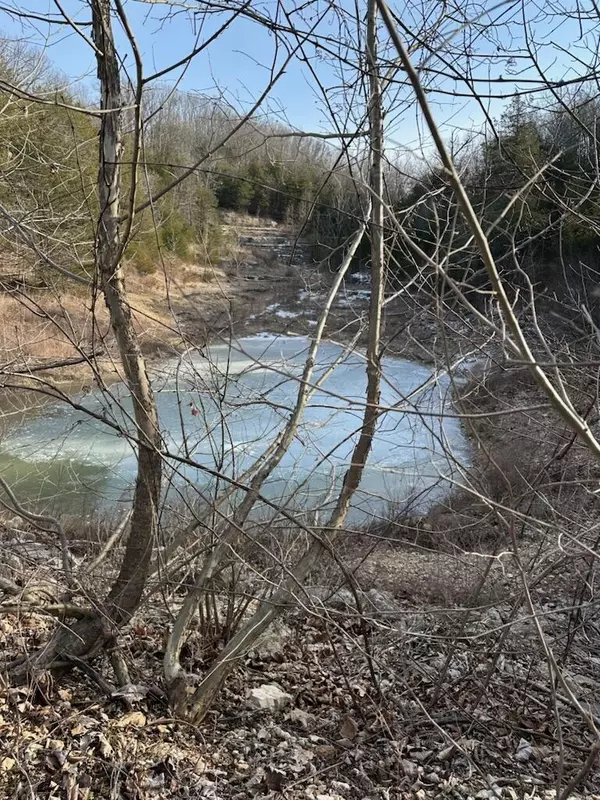 Reeds Spring, MO 65737,2718 Holt Woods RD