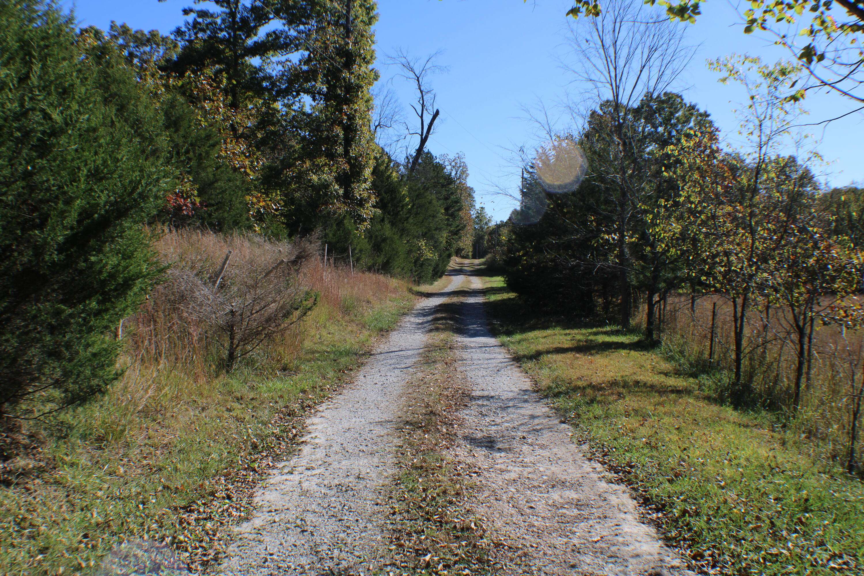 Caulfield, MO 65626,000 State Route Oo