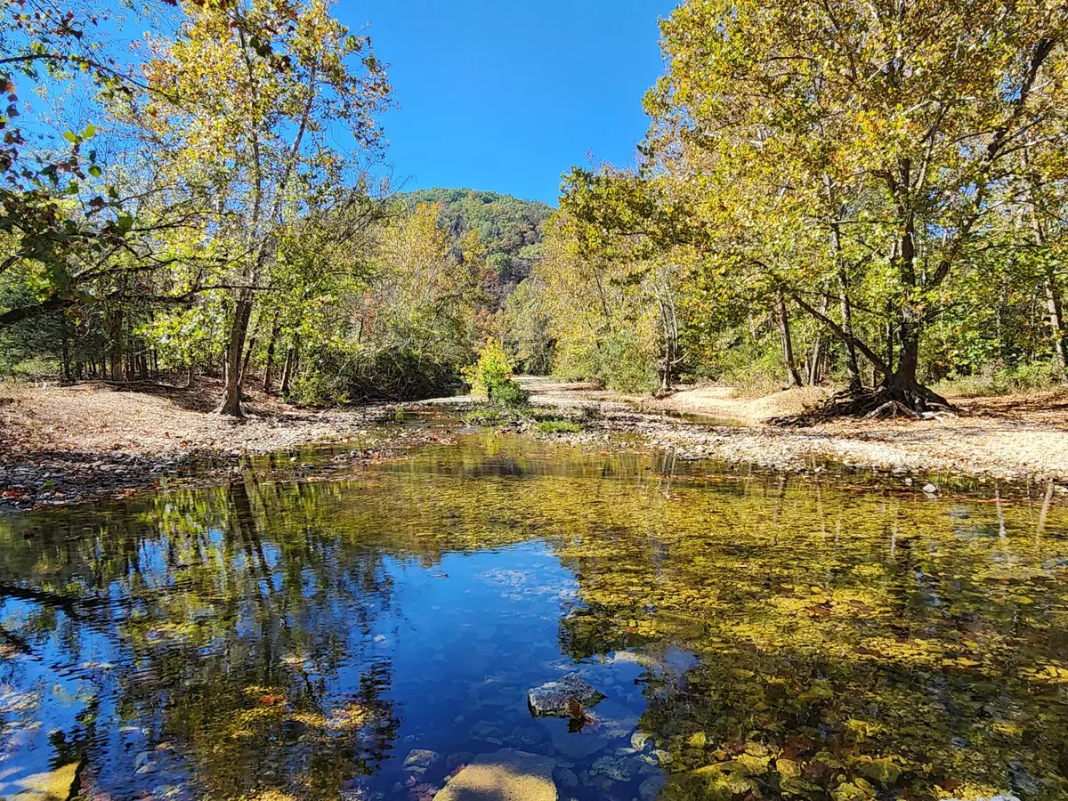 Oldfield, MO 65720,1585 Bray Mines RD