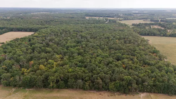 000 S 245th RD, Halfway, MO 65663