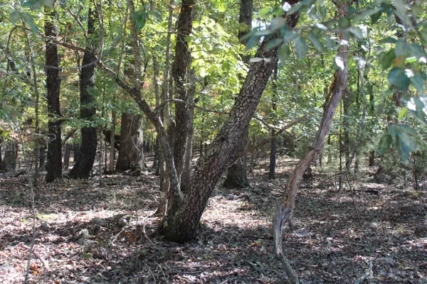 Protem, MO 65733,000 Blue Lake DR #Lot 26