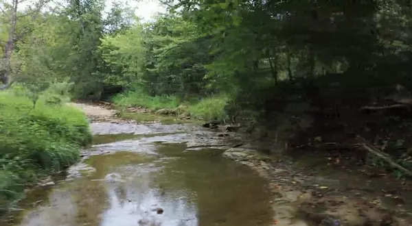 Squires, MO 65755,Route 4 Box 82 And 84